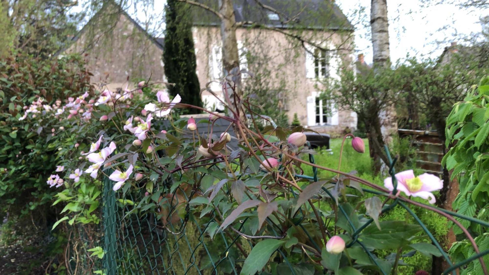 Bed and Breakfast La Thibautiere Blaison Exterior foto