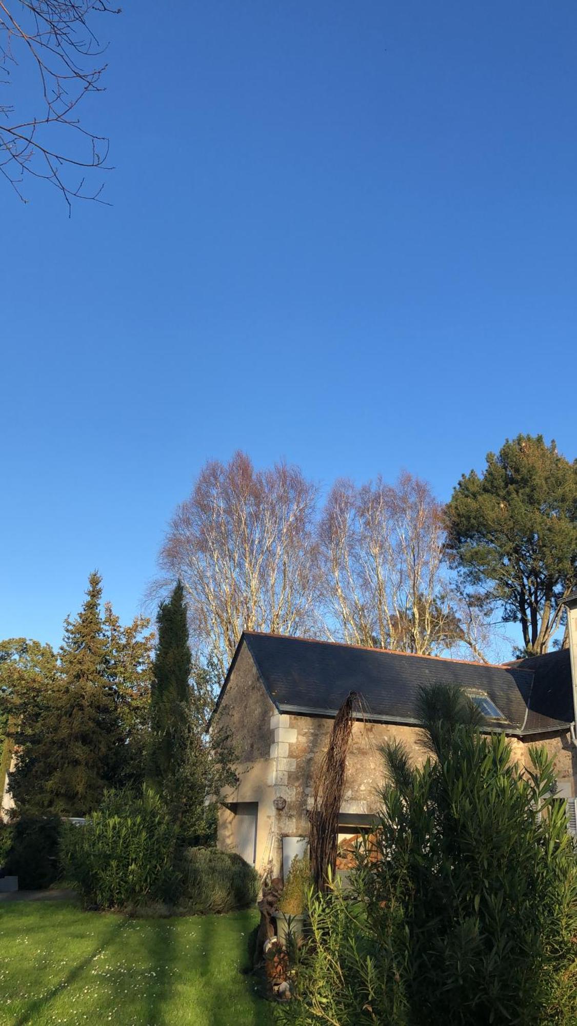 Bed and Breakfast La Thibautiere Blaison Exterior foto